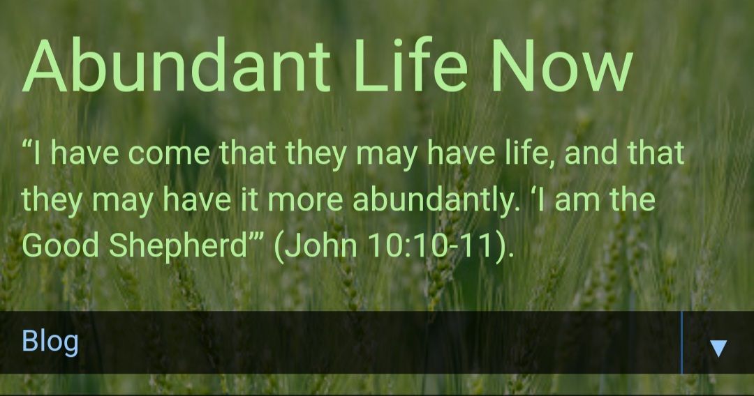 Heading of Abundant Life Now blog